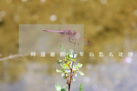 网贷逾期2年后怎么处理会员 网贷逾期2年后怎么处理会员