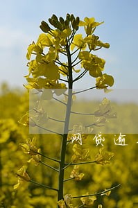 网贷逾期2年后来全部还清了 网贷逾期2年后来全部还清了