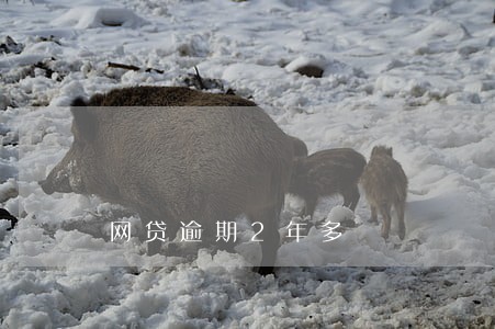 网贷逾期2年多 网贷逾期2年多