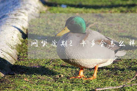 网贷逾期2年多会怎么样