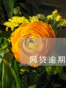 网贷逾期2年能坐飞机高铁吗 网贷逾期2年能坐飞机高铁吗