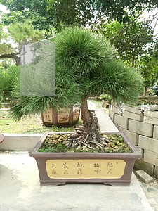 网贷逾期2年还可以坐飞机吗 网贷逾期2年还可以坐飞机吗