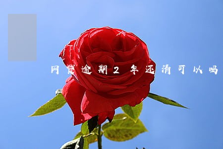 网贷逾期2年还清可以吗 网贷逾期2年还清可以吗