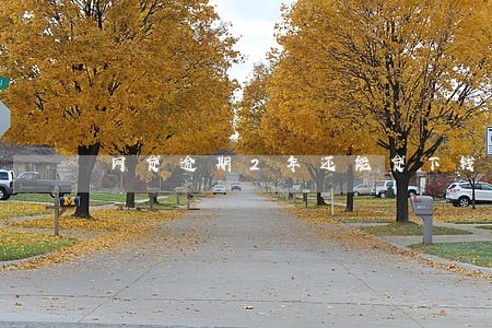 网贷逾期2年还能贷下钱么 网贷逾期2年还能贷下钱么