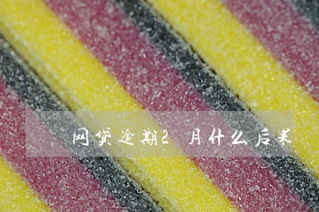 网贷逾期2月什么后果 网贷逾期2月什么后果