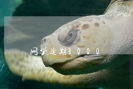 网贷逾期3000 网贷逾期3000