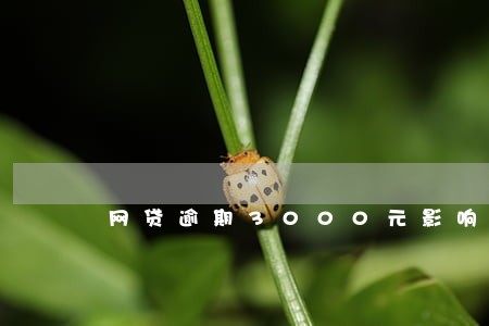 网贷逾期3000元影响房贷吗 网贷逾期3000元影响房贷吗