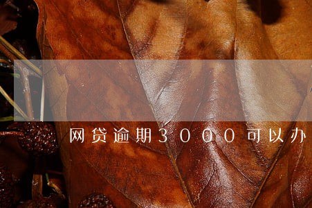网贷逾期3000可以办车贷吗