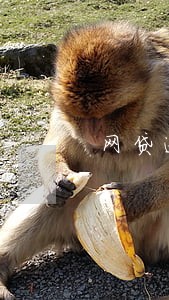 网贷逾期3000说上门 网贷逾期3000说上门