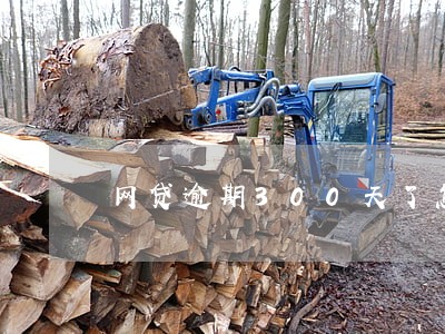网贷逾期300天了怎么追回 网贷逾期300天了怎么追回