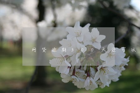 网贷逾期300天还可以贷款 网贷逾期300天还可以贷款