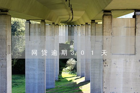 网贷逾期301天 网贷逾期301天