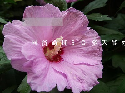 网贷逾期30多天能办信用卡吗 网贷逾期30多天能办信用卡吗