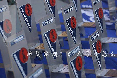 网贷逾期30天了会怎么样 网贷逾期30天了会怎么样