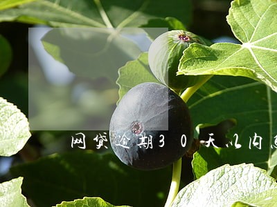 网贷逾期30天以内怎么处理 网贷逾期30天以内怎么处理