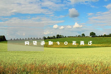 网贷逾期30天再还 网贷逾期30天再还