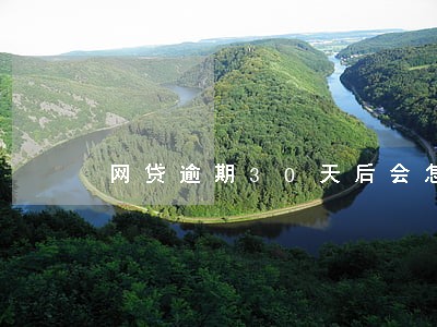 网贷逾期30天后会怎样