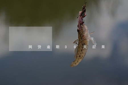 网贷逾期30天后果 网贷逾期30天后果