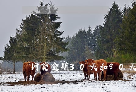 网贷逾期30天和90天 网贷逾期30天和90天