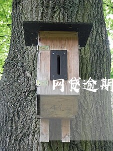 网贷逾期30天走法律程序