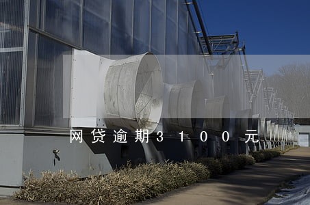 网贷逾期3100元 网贷逾期3100元