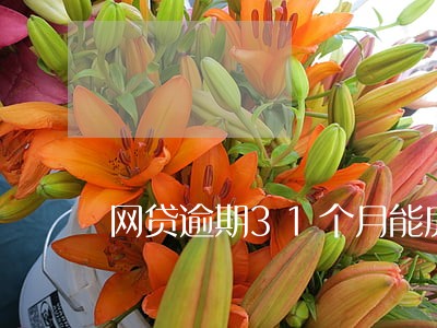 网贷逾期31个月能房贷不 网贷逾期31个月能房贷不