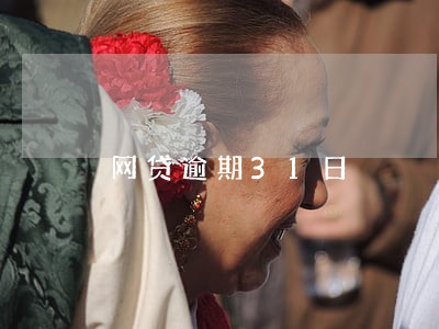 网贷逾期31日