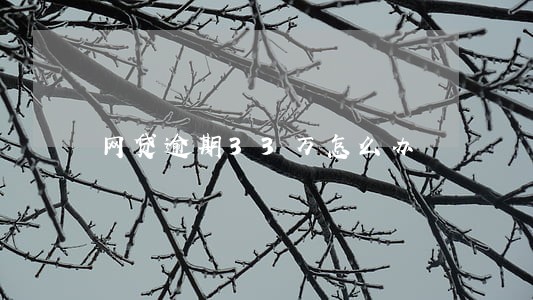 网贷逾期33万怎么办 网贷逾期33万怎么办