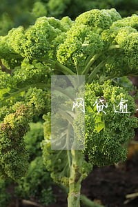网贷逾期3500会怎么处理