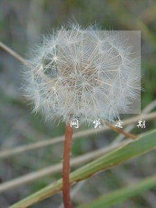 网贷逾期36个月 网贷逾期36个月