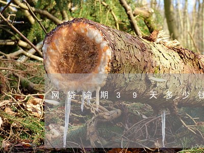 网贷逾期39天多少钱 网贷逾期39天多少钱