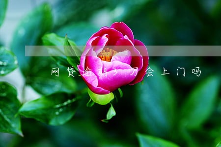 网贷逾期3万会上门吗