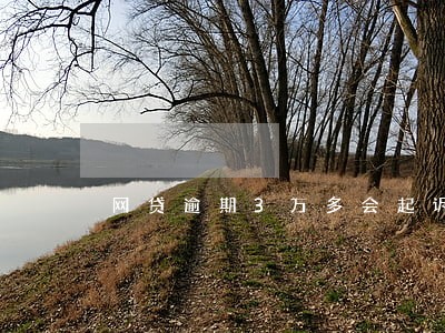 网贷逾期3万多会起诉吗 网贷逾期3万多会起诉吗