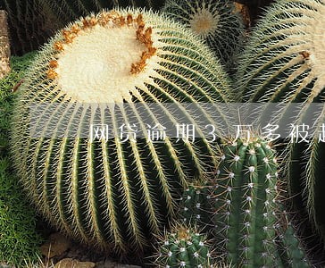 网贷逾期3万多被起诉会怎么处罚
