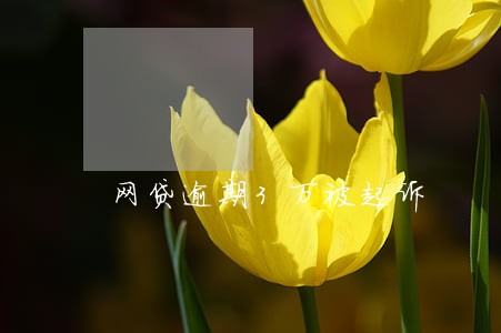 网贷逾期3万被起诉 网贷逾期3万被起诉