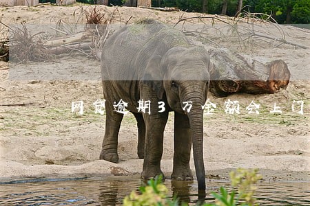 网贷逾期3万金额会上门 网贷逾期3万金额会上门
