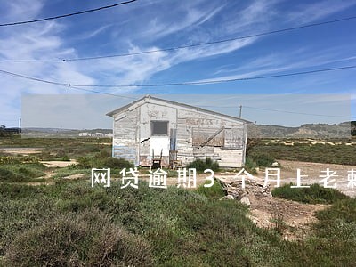 网贷逾期3个月上老赖网 网贷逾期3个月上老赖网