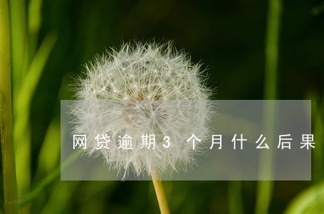 网贷逾期3个月什么后果 网贷逾期3个月什么后果