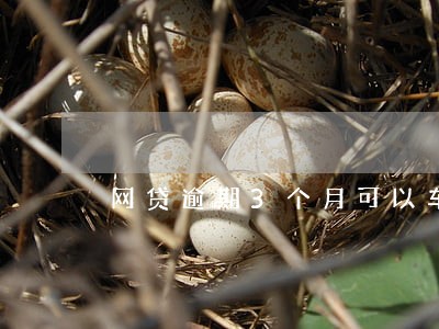 网贷逾期3个月可以车贷吗 网贷逾期3个月可以车贷吗