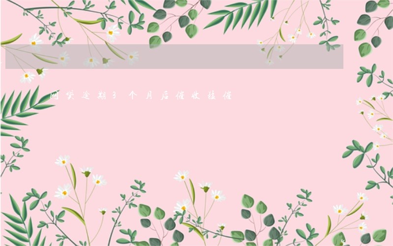 网贷逾期3个月后催收猛催 网贷逾期3个月后催收猛催