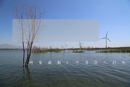 网贷逾期3个月没人打电话