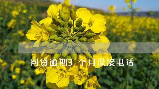 网贷逾期3个月没接电话 网贷逾期3个月没接电话