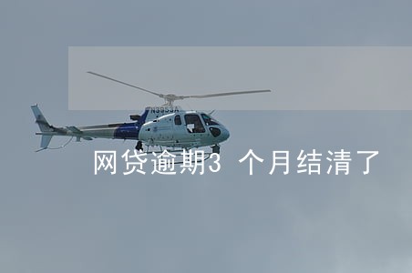 网贷逾期3个月结清了 网贷逾期3个月结清了