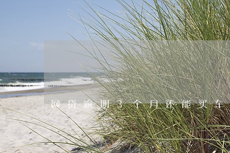网贷逾期3个月还能买车 网贷逾期3个月还能买车