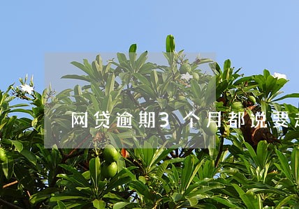 网贷逾期3个月都说要起诉
