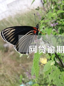网贷逾期3天会影响征信吗 网贷逾期3天会影响征信吗