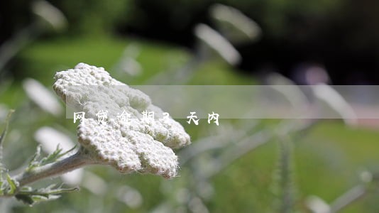 网贷逾期3天内 网贷逾期3天内