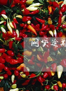 网贷逾期3天可以吗 网贷逾期3天可以吗
