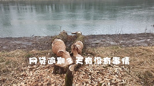 网贷逾期3天有没有事情 网贷逾期3天有没有事情
