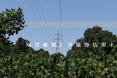 网贷逾期3天能办信用卡吗